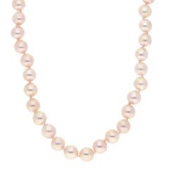 Aquarian Pearls Akoya Cultured Pearl Necklace in SILVER