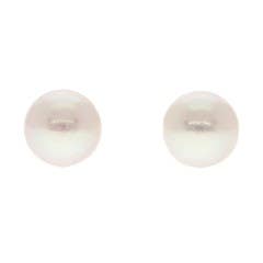 Aquarian Pearls Japanese Akoya Cultured Pearl Stud Earrings in 14K