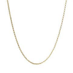  Rolo Chain Necklace in 14K